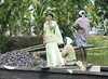 Mrs-H > Backwaters photo