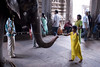 Mrs-H > Madurai photo
