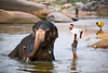 India 2008 : 