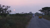 Guntur : Mrs H's hometown. Various pics of family, friends, mosquitos.